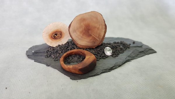 ring tree beautiful